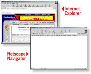 Internet Explorer and Netscape Navigator